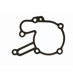 "Water Pump Gasket - Compatible Replacement for Piaggio Porter Diesel 1.2 D120"