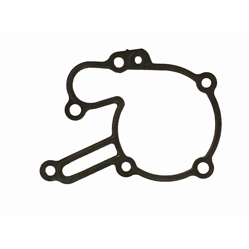 "Water Pump Gasket - Replacement Compatible with Piaggio Porter Diesel 1.2 D120"