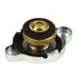 "Radiator Cap Replacement for Piaggio Porter Multitech Bar 1.1"