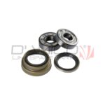 Kit cuscinetti mozzo anteriore Piaggio Porter — OEM 9004311201000