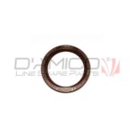 Δακτύλιος στεγανοποίησης Piaggio Porter Euro 6 — OEM 1A005656