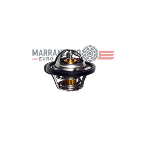 Termostato raffreddamento Piaggio Porter Multitech E6 e NP6