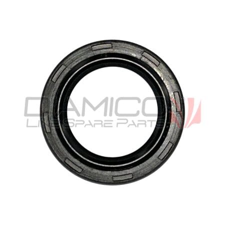 Anello paraolio albero a camme per Piaggio Quargo e Porter Diesel