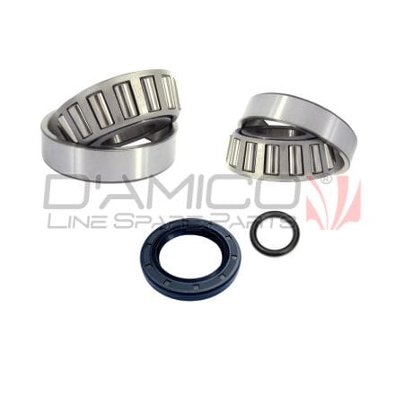 Bevel Gear Overhaul Kit for Piaggio Porter Standard Kit.