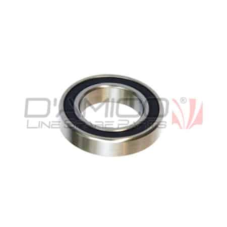 Cuscinetto semiasse Piaggio Quargo LDW-702/P